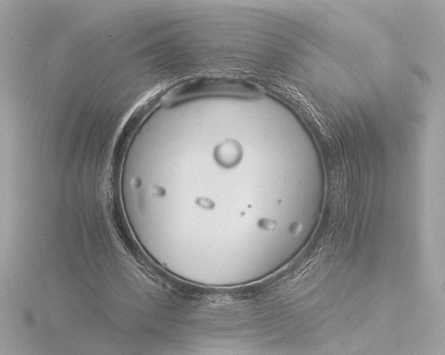 X0000116390392200912231113