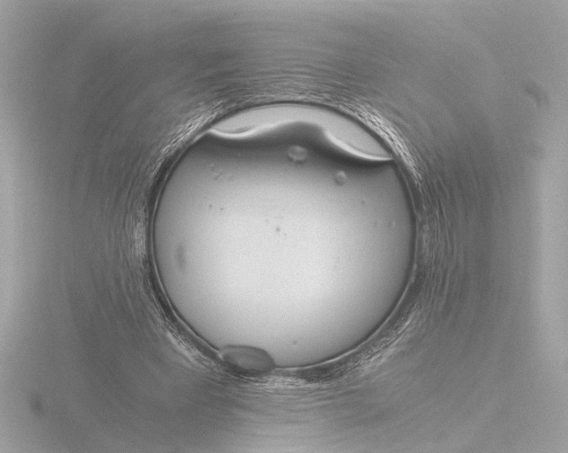 X0000116390393200912231113