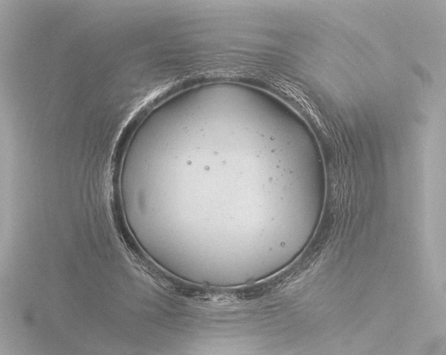 X0000116390395200912231113