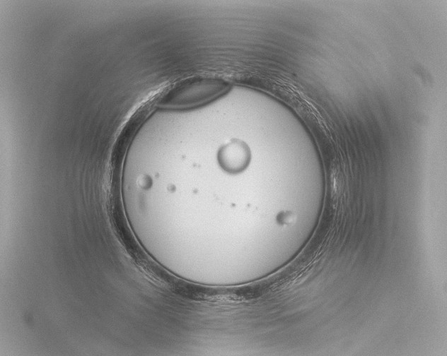 X0000116390396200912231113