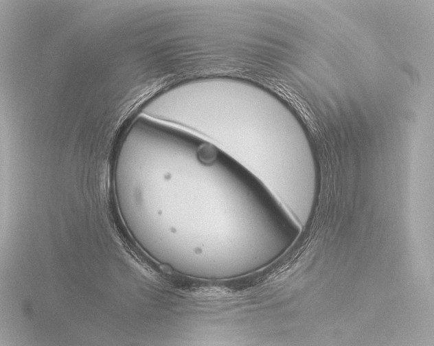 X0000116390397200912231113