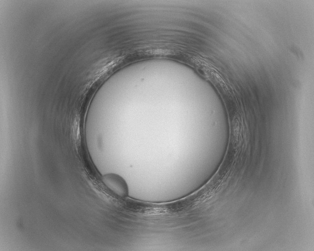 X0000116390398200912231113