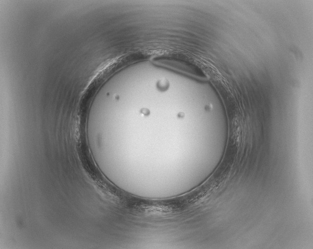 X0000116390400200912231113