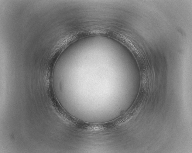 X0000116390402200912231113