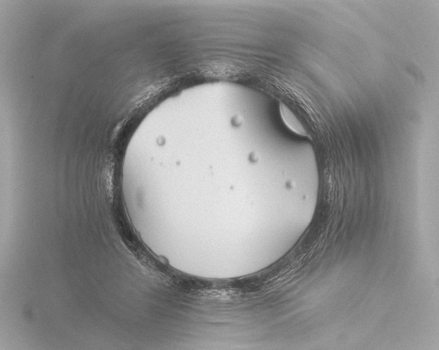 X0000116390404200912231113