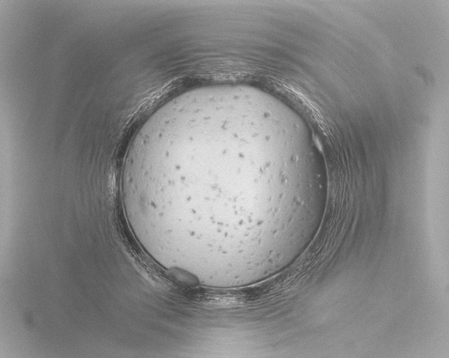 X0000116390405200912231113