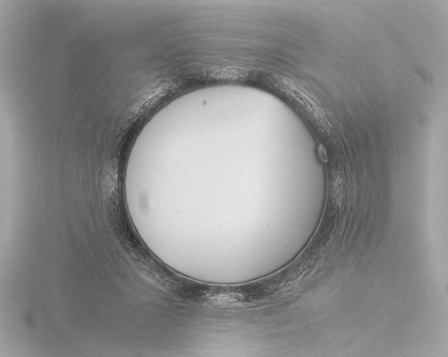 X0000116390407200912231113