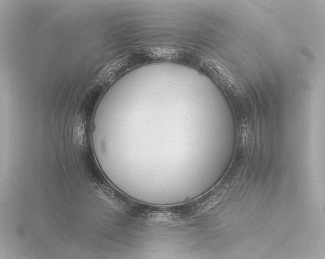 X0000116390408200912231113