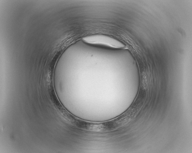 X0000116390410200912231113