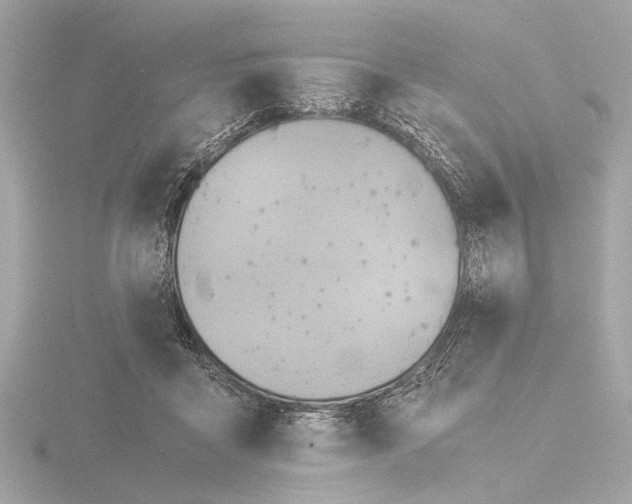 X0000116390411200912231113