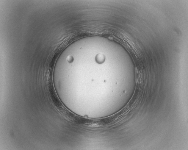 X0000116390412200912231113