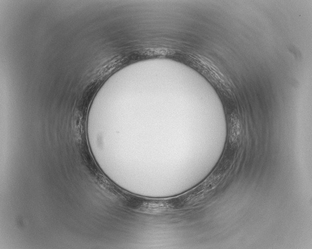 X0000116390414200912231113