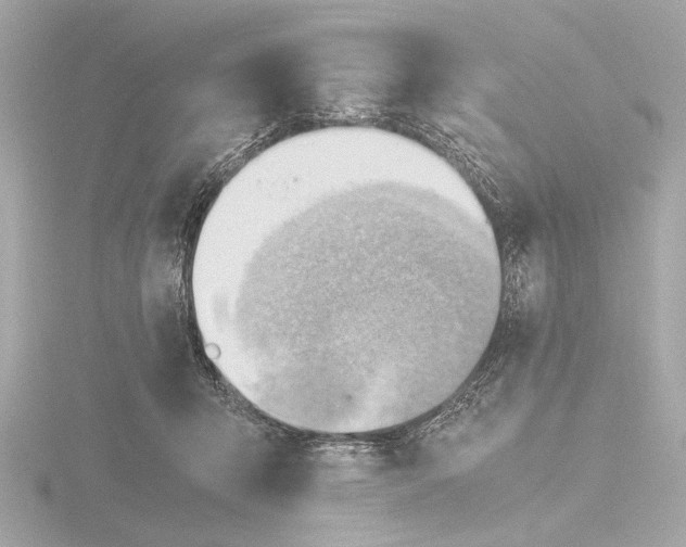 X0000116390415200912231113