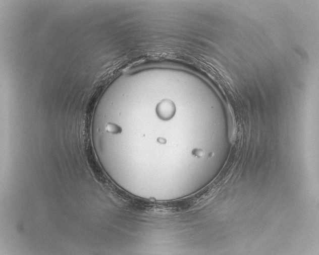 X0000116390416200912231113