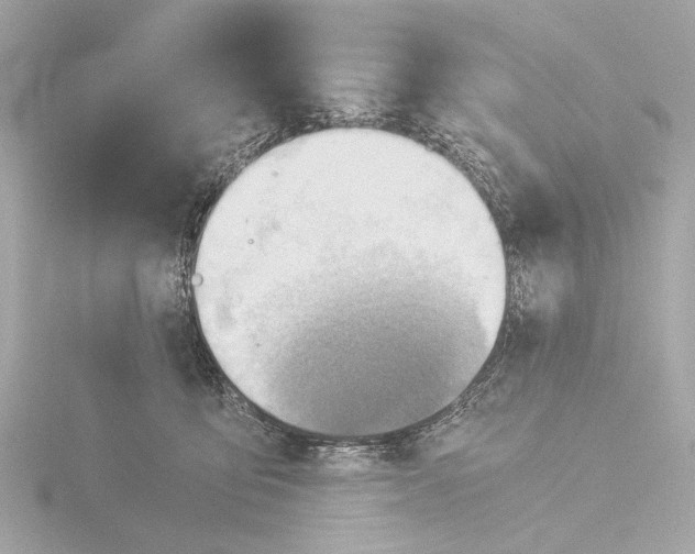 X0000116390419200912231113