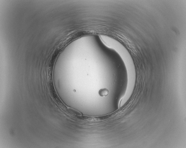 X0000116390421200912231113