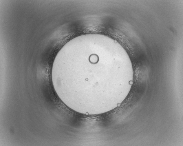 X0000116390423200912231113