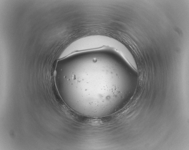 X0000116390424200912231113