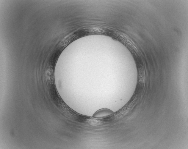 X0000116390425200912231113