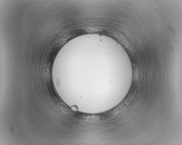 X0000116390426200912231113