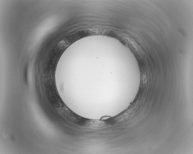 X0000116390429200912231113