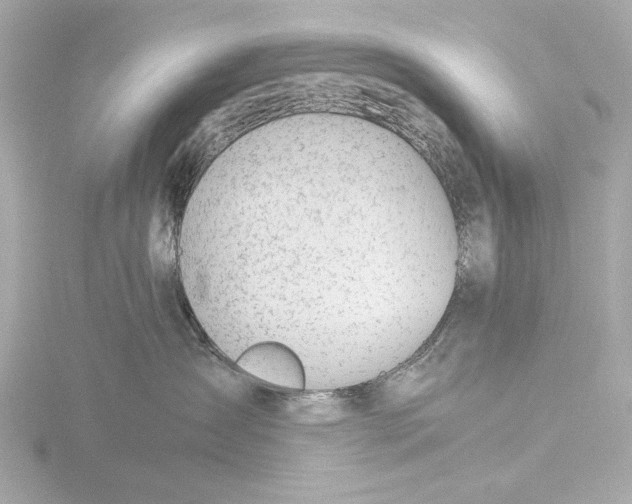 X0000116390431200912231113