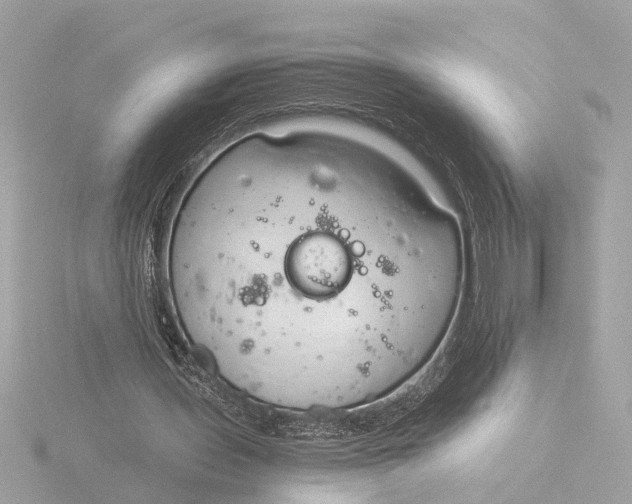 X0000116390435200912231112