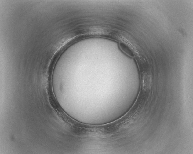 X0000116390436200912231112