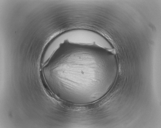 X0000116390438200912231112