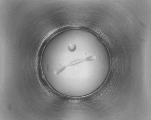 X0000116390440200912231112