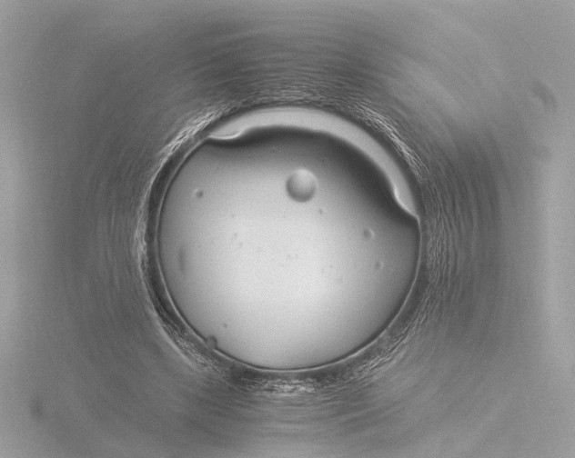 X0000116390443200912231112