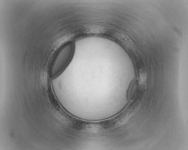 X0000116390444200912231112