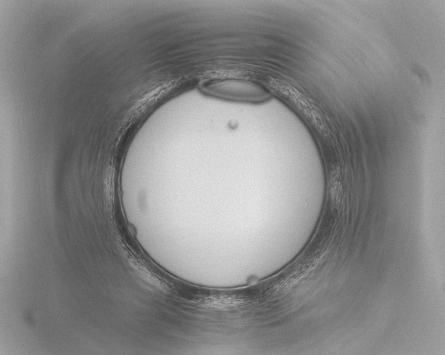 X0000116390445200912231112