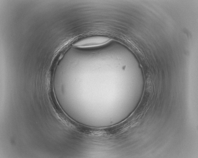 X0000116390446200912231112