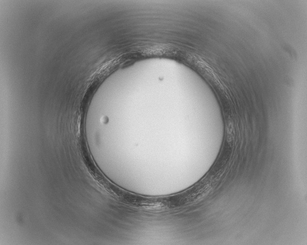 X0000116390454200912231112