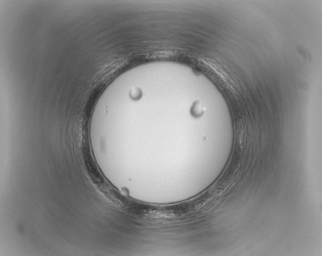 X0000116390455200912231112