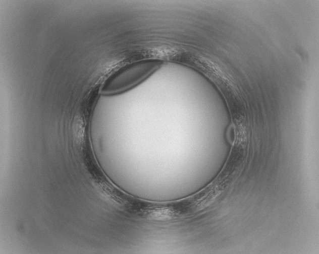 X0000116390456200912231112