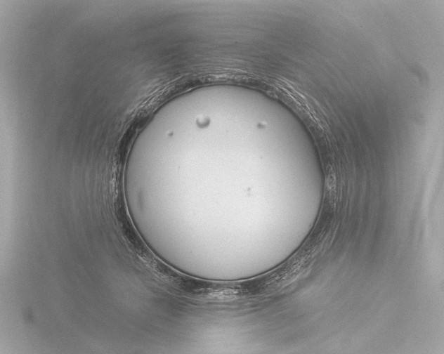 X0000116390462200912231113