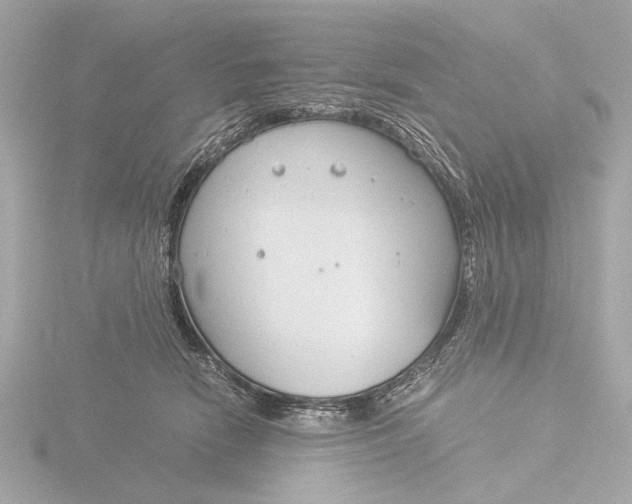 X0000116390466200912231113