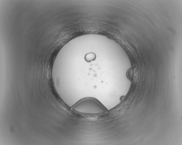 X0000116390474200912231113