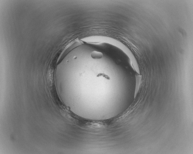 X0000116390475200912231113