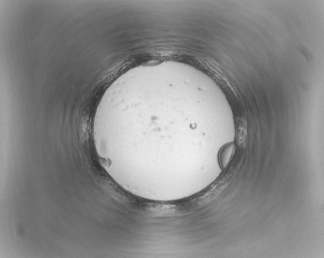 X0000116390476200912231113