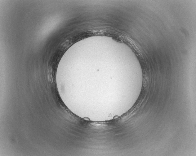 X0000116390477200912231113