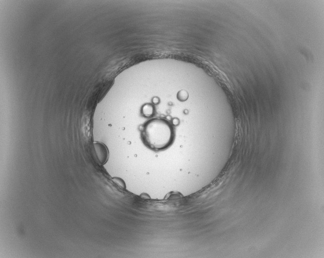 X0000116390479200912231113