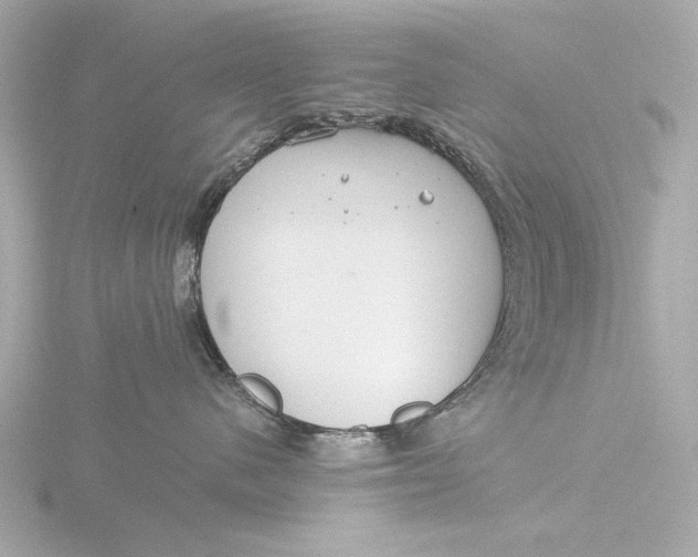 X0000116390480200912231113