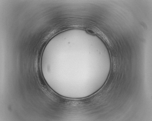 X0000116390482200912231112