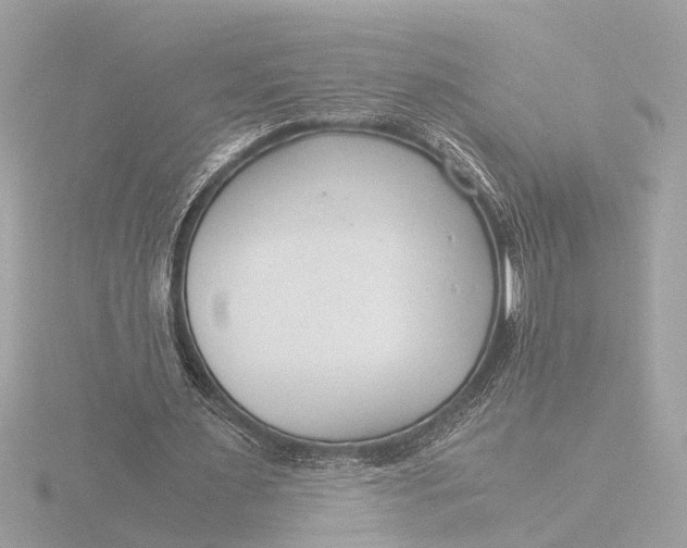 X0000116390483200912231112