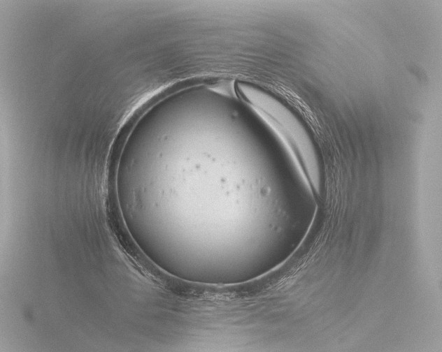 X0000116390484200912231112