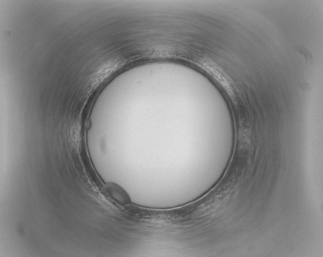 X0000116390485200912231112