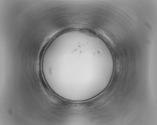 X0000116390486200912231112